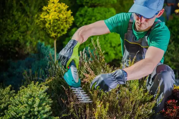 landscaping services Mechanicsburg